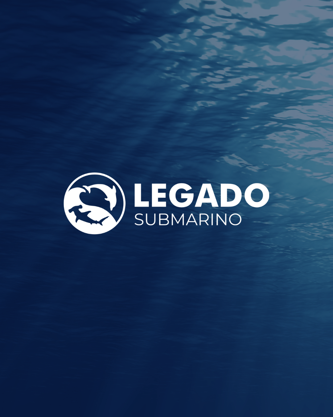 11-andreina-hernandez-branding-diseño