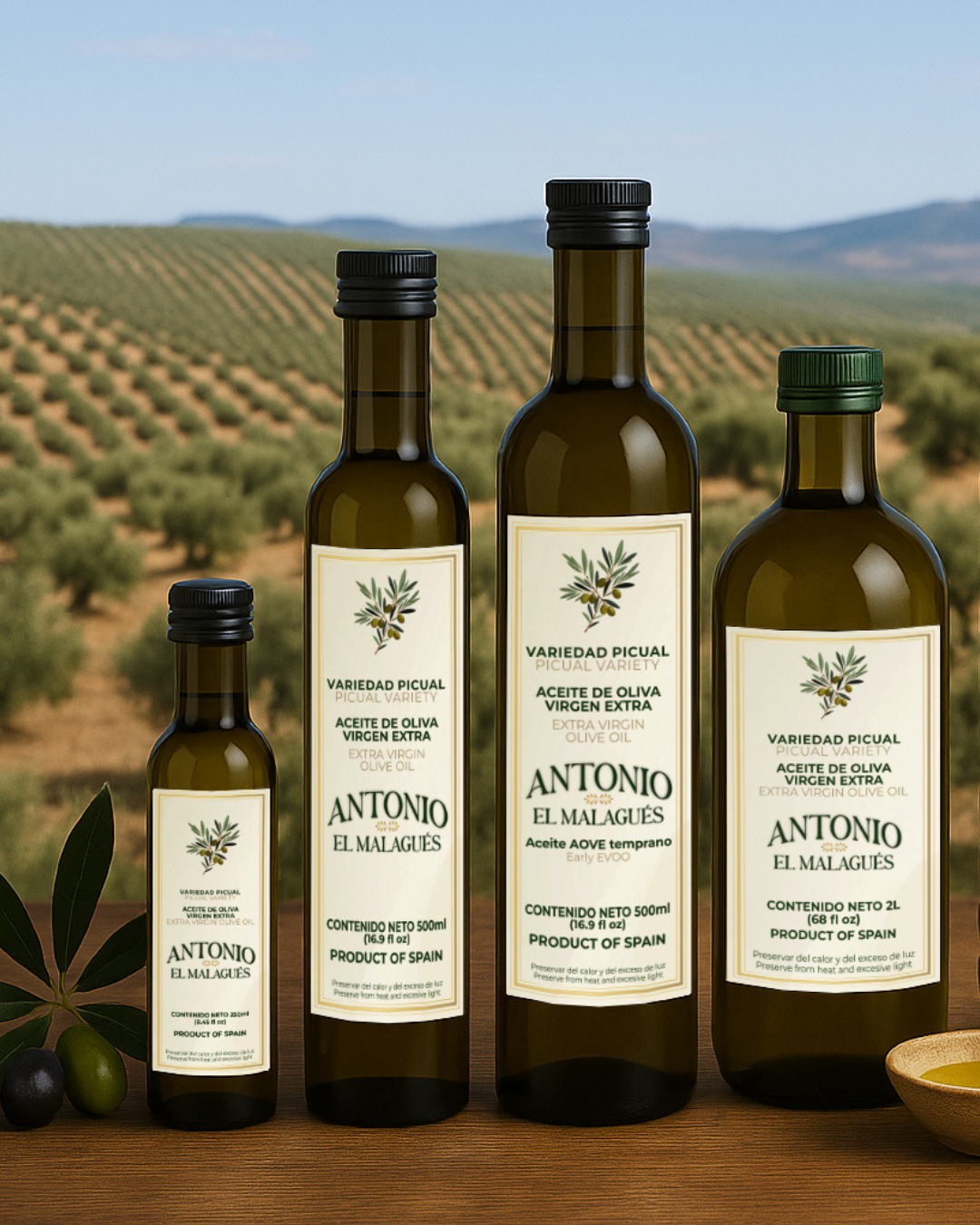 15-andreina-hernandez-branding-diseño